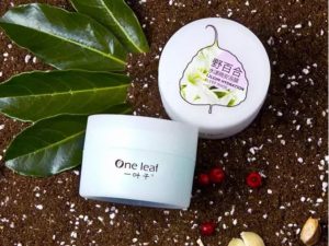 一叶子睡眠面膜胶原蛋白,一叶子燕窝紧致睡眠面膜怎么样