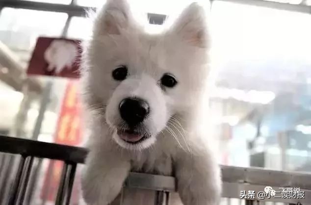 成都附近各大批发市场,成都第一大批发市场