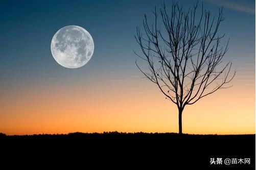 同样做餐饮你为何挣不到钱,做同样的生意为什么没别人生意好