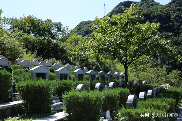 选墓选10号好吗,去买墓选什么时间合适