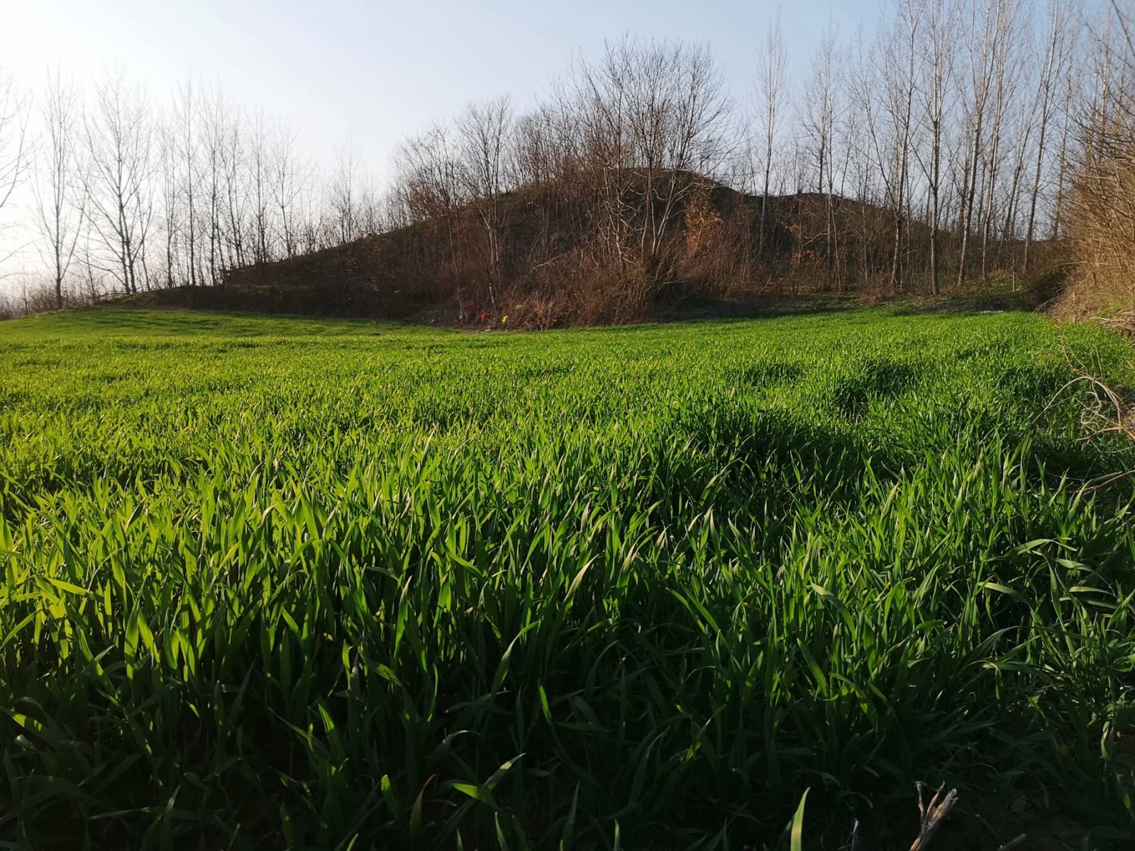 摩托周边旮旯游——探访明光法华禅庵塔