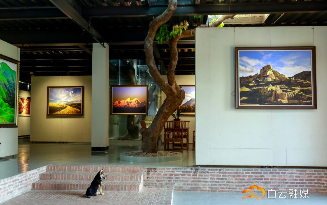 走在乡间小路观赏田园风光体验,看田园风景品乡间生活尝农家美食