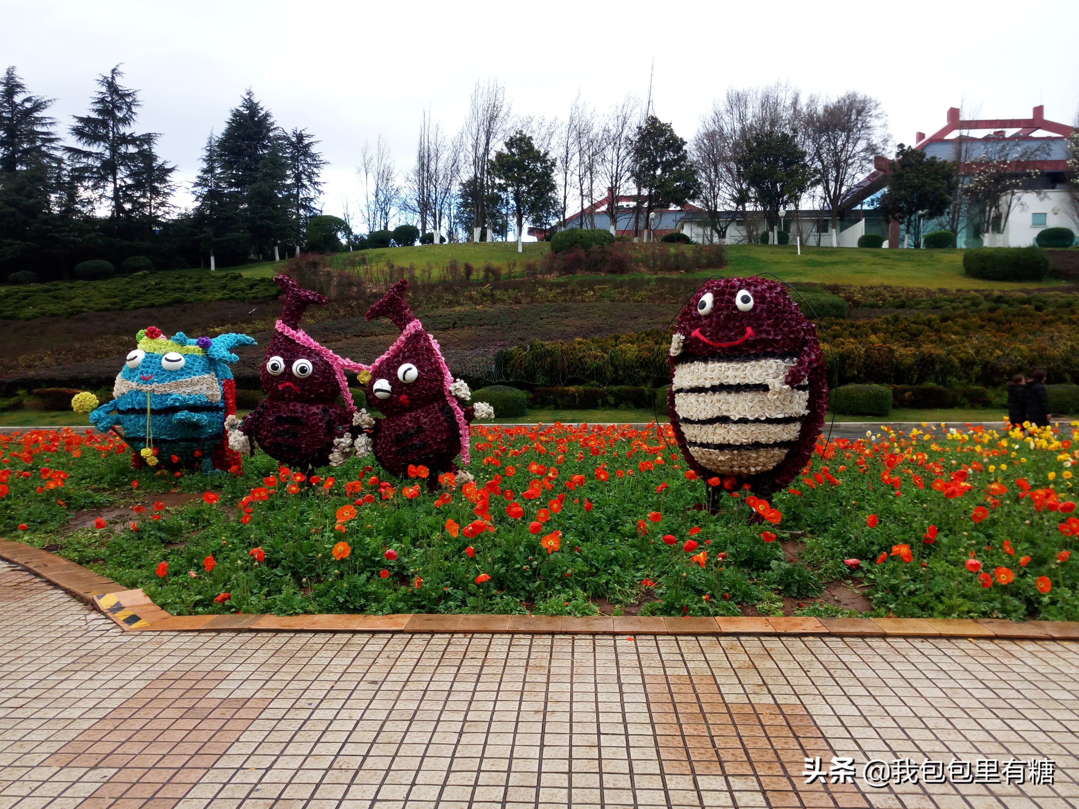 昆明人眼中的世博园,23年前开园的昆明世博园依然美丽