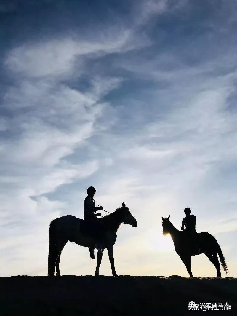 新疆那边的马是什么品种,如何挑选新疆马