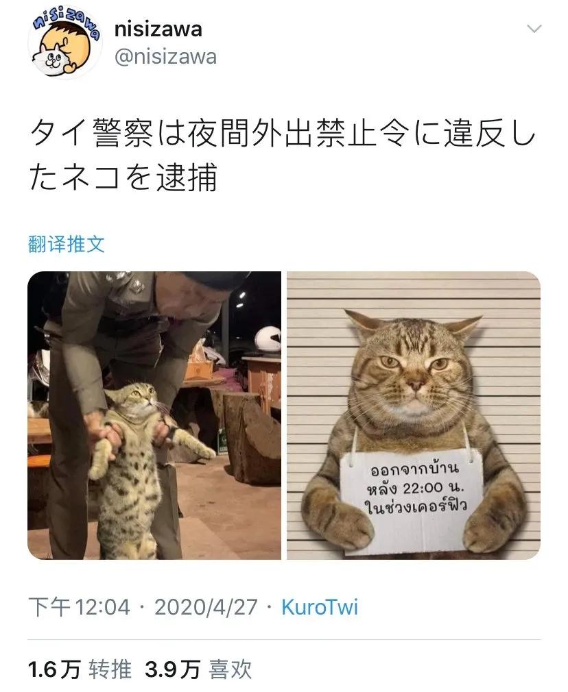 淘宝名字不能随便取,淘宝起名规则大全