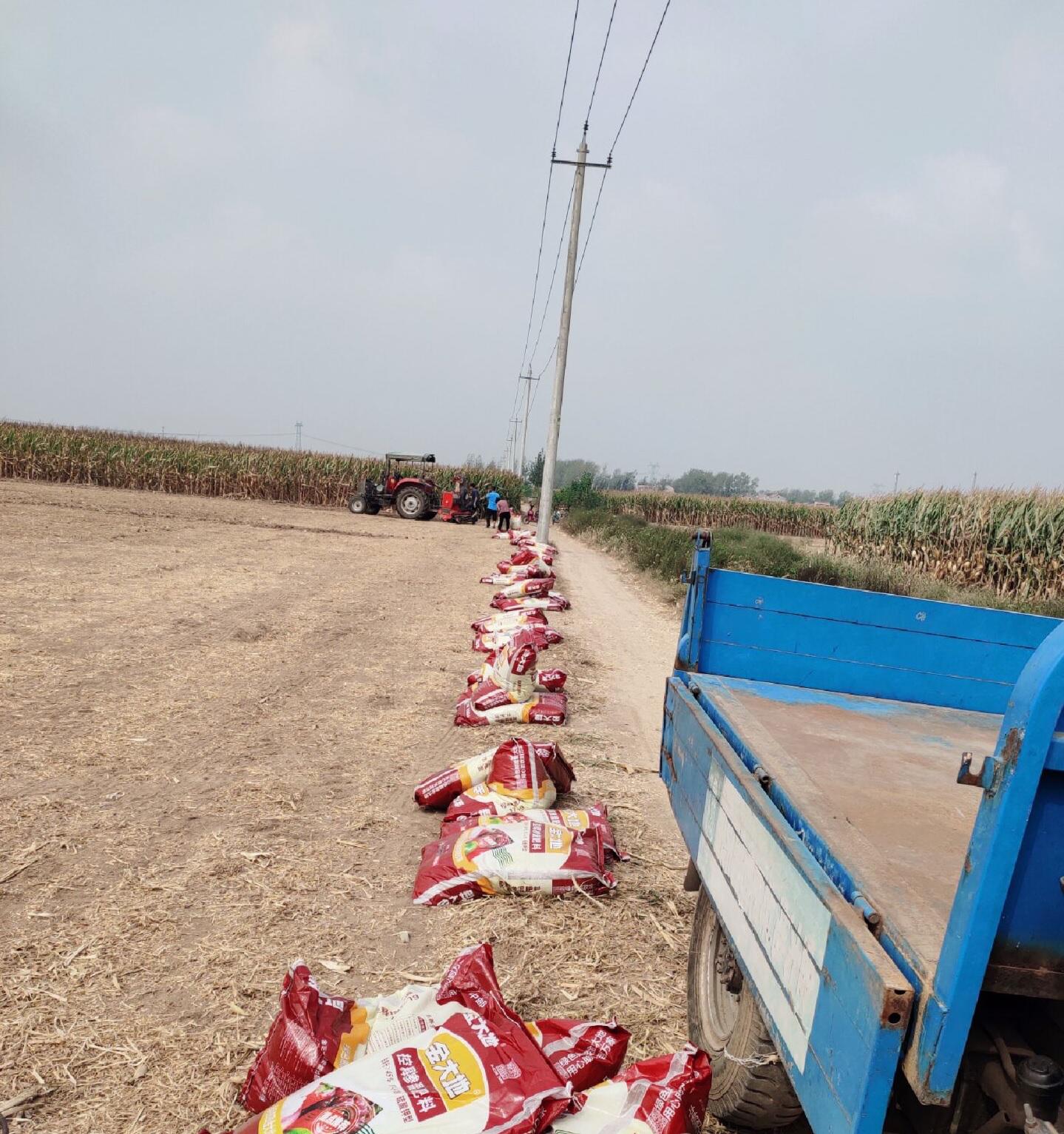 山东省菏泽市邮政,山东菏泽市邮政公司