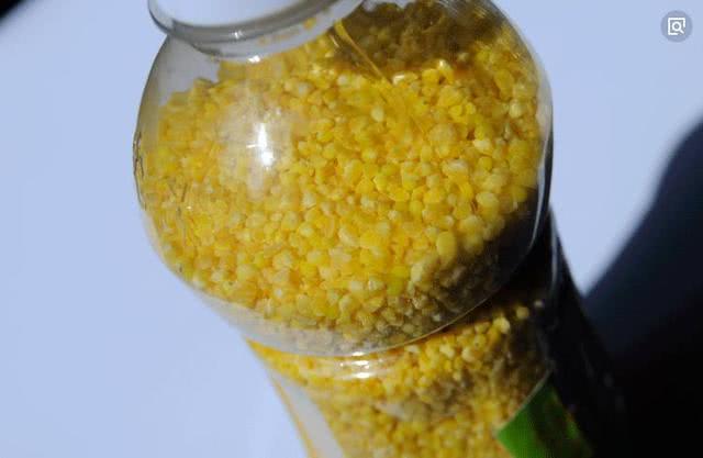 小杂鱼闹窝怎么搞,小杂鱼闹窝的最快解决方法