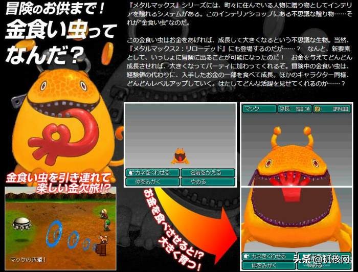 重装机兵波奇的装备,重装机兵波奇怎么获得