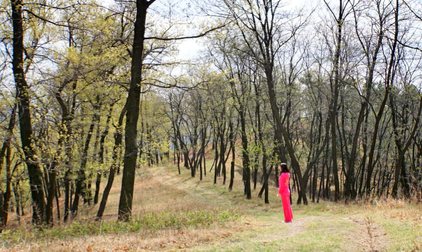 济南药山森林公园门票价格,济南药乡森林公园免费吗