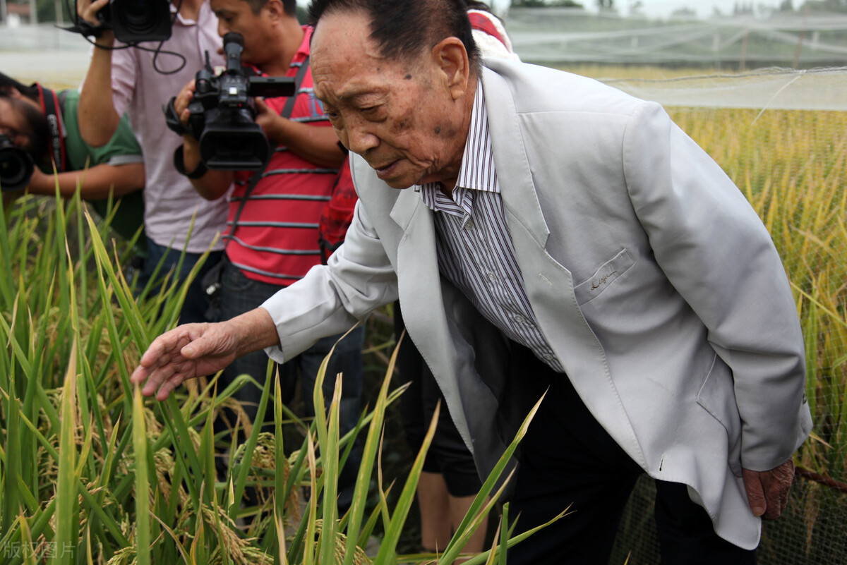 袁隆平和体育,袁隆平运动员生涯