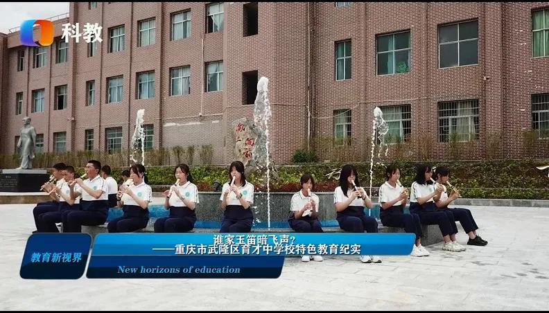 谁家玉笛暗飞声音效,《谁家玉笛暗飞声》