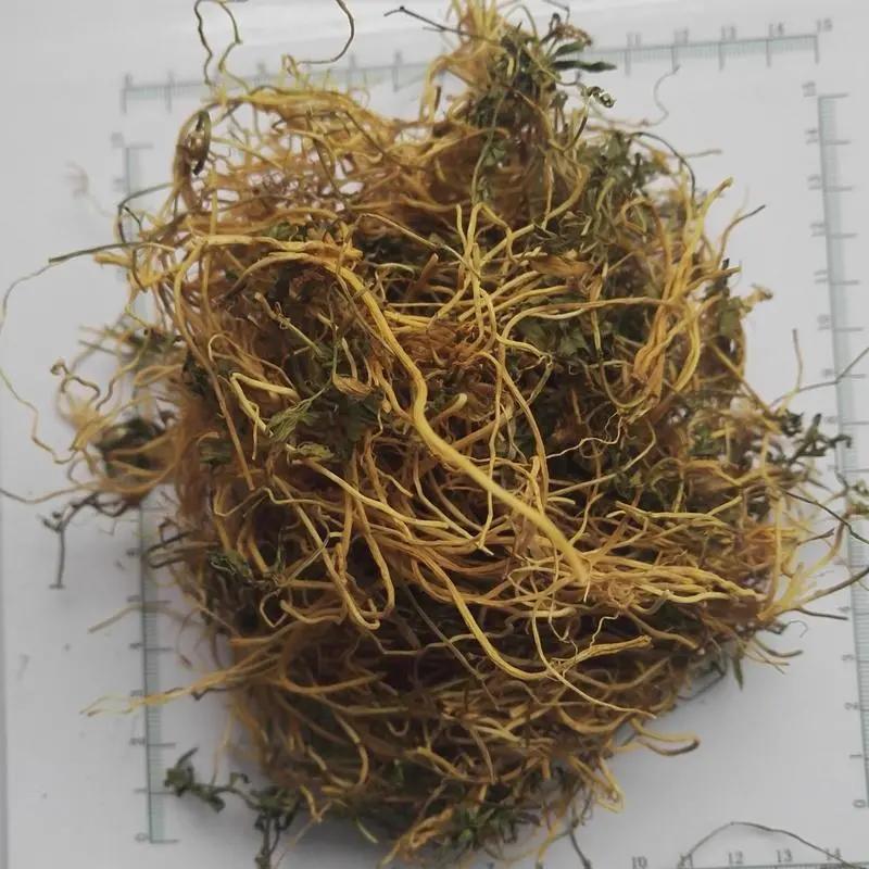 执业中药师常用单味药,中药药剂师必看的书