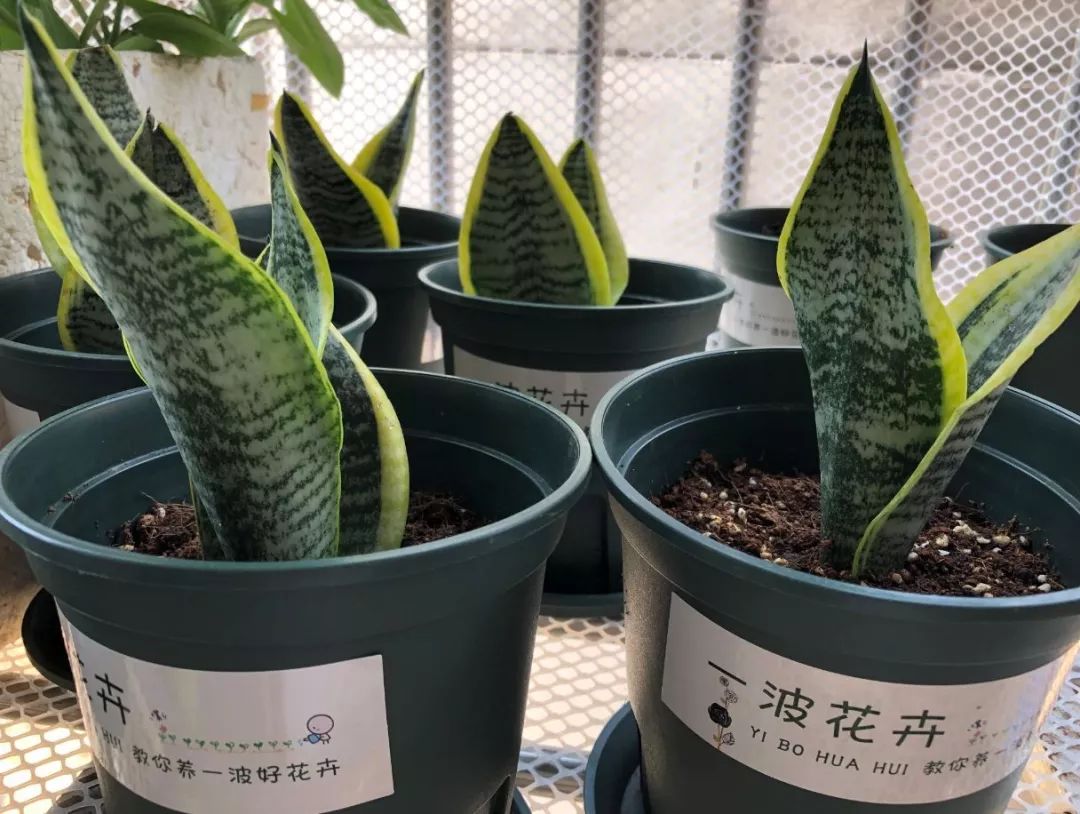 房间里湿气太重怎么办,房间湿气太重用什么除掉