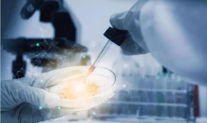 半月板损伤干细胞,半月板损伤干细胞注射液价格