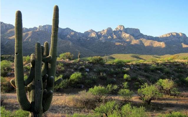 地球最奇特的沙漠,地球上最优越的气候是什么气候