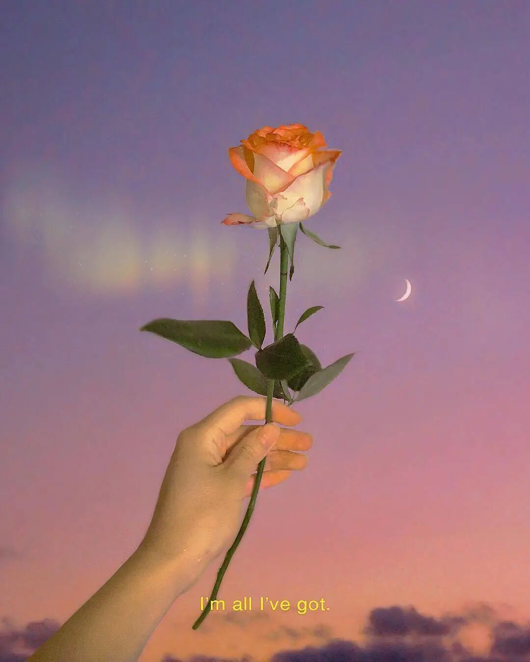 ins风真的很好吗,ins风到底是什么风格