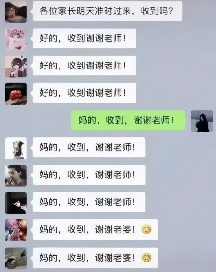 奇葩家长班级群发言,盘点家长群的搞笑对话