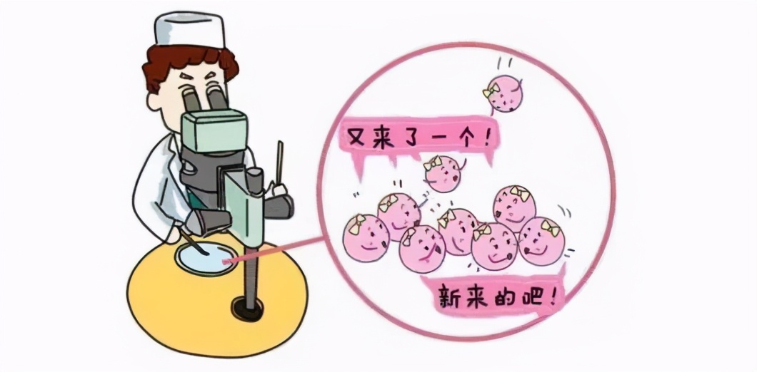 南昌华儿山科普：卵泡正常发育，可就是不排卵，这是为什么？