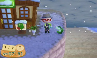 动森为什么会重新开始,动森为什么是神作