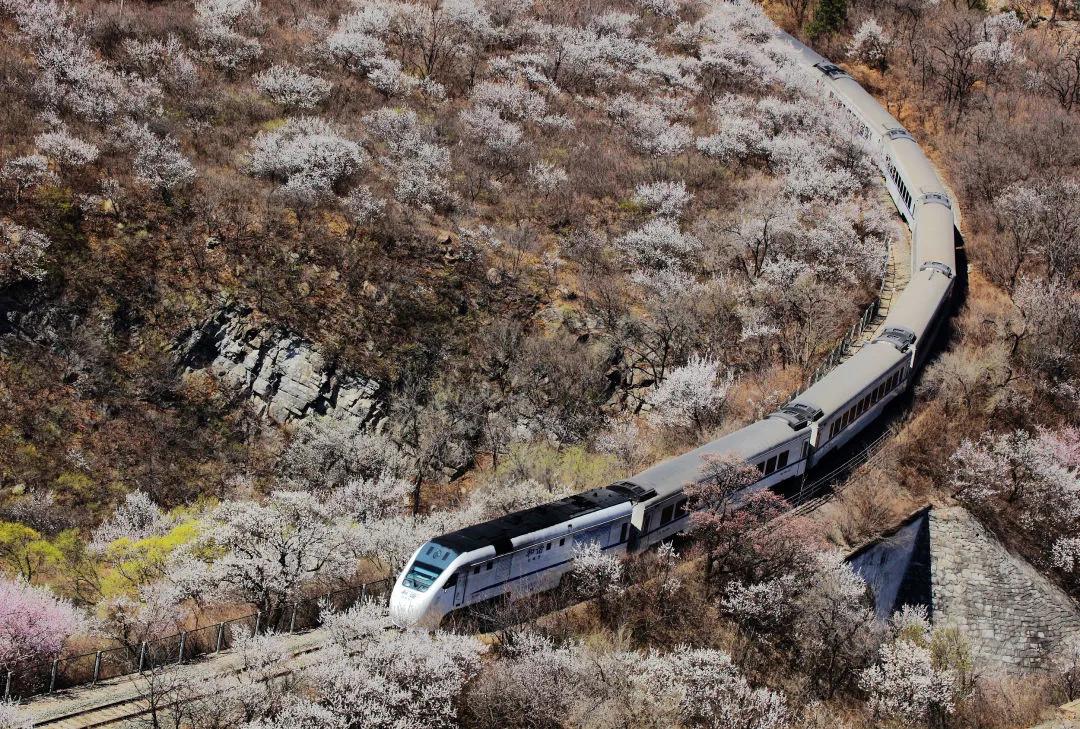 景点吃麦当劳,麦当劳吊打景区美食