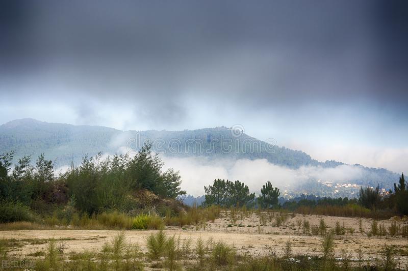 视域下的高中英语阅读教学,新高考英语阅读的教学策略