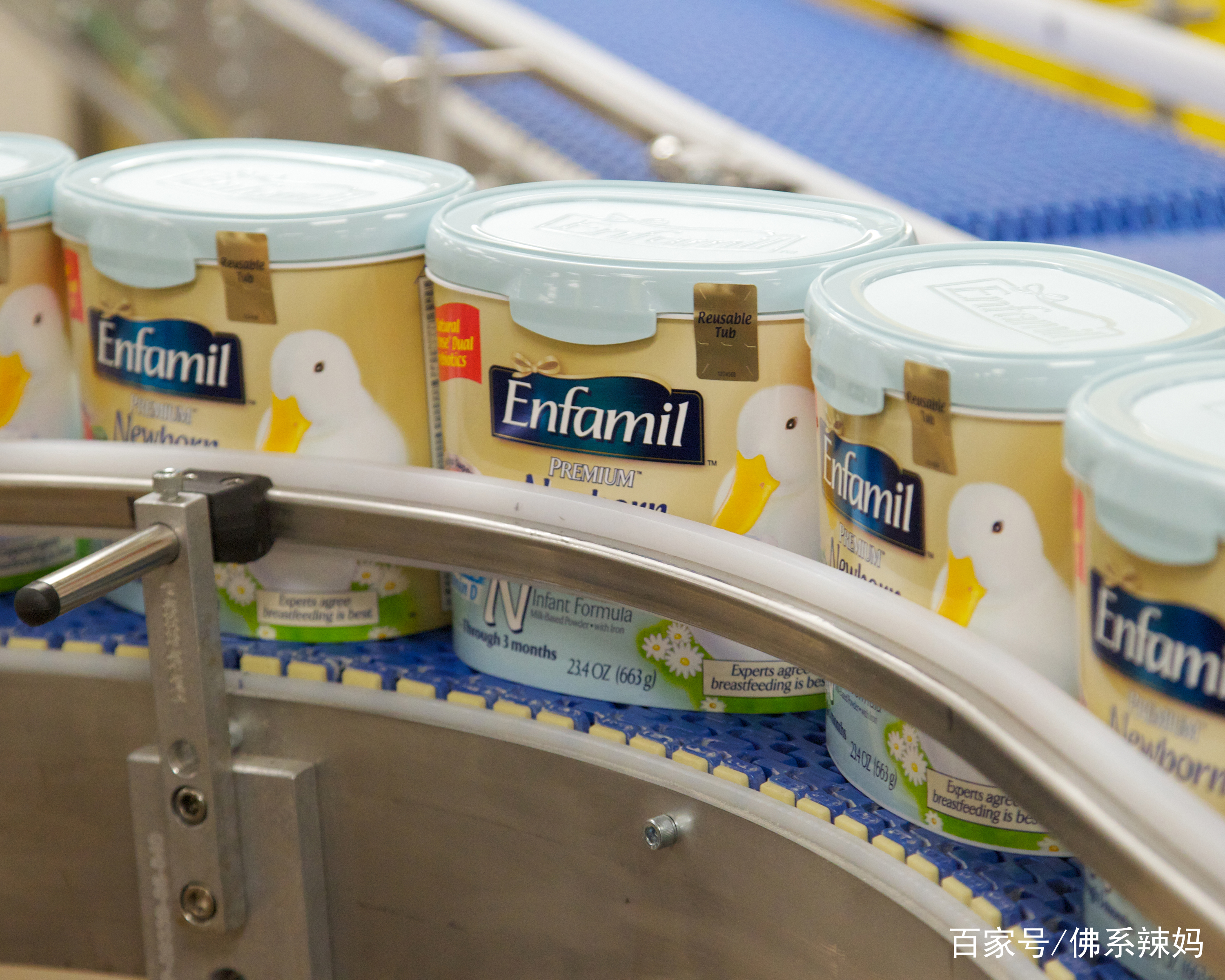 奶粉结块了有虫还能喝吗,为什么奶粉中有密密麻麻的小虫子