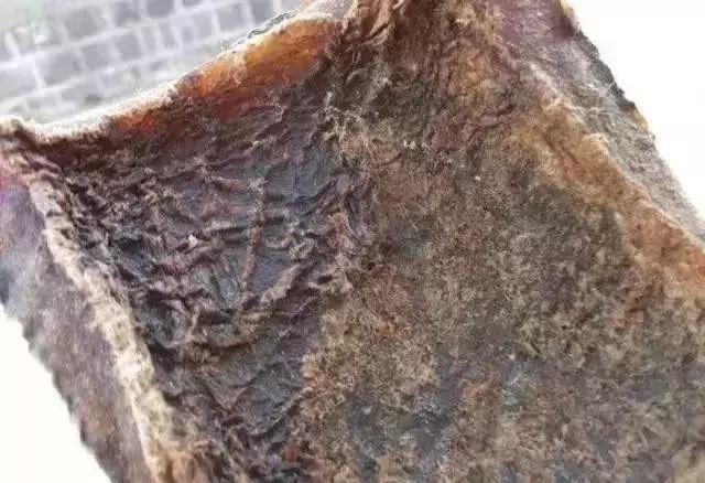 放过大象吧!别再用大象皮车珠子了!