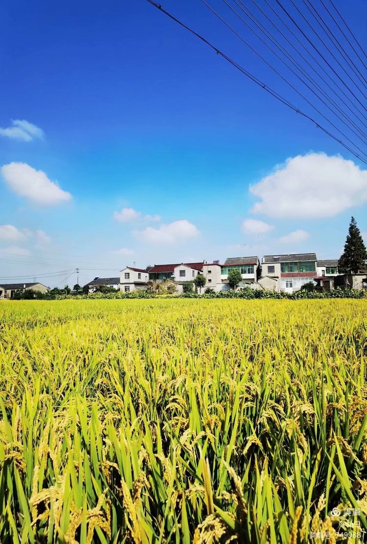 寻找遗忘的古村落,找不回的村庄抹不去的记忆