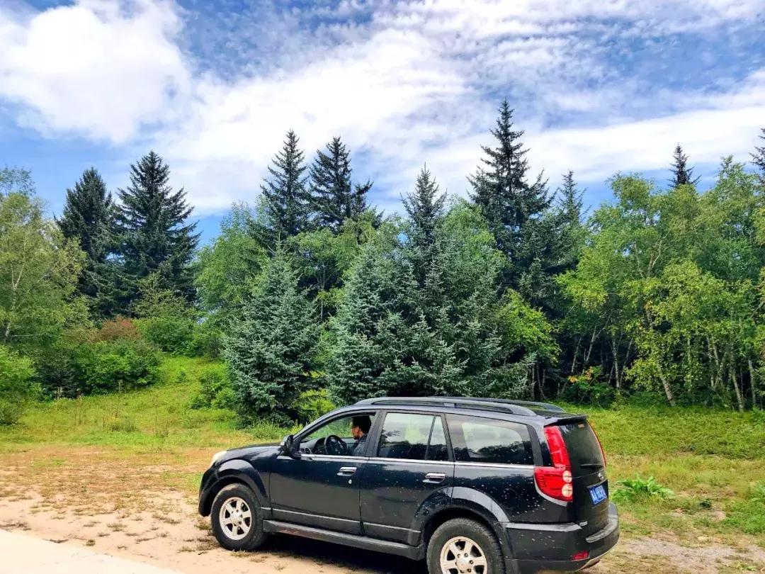 丰宁千松坝秋色,天凉好个秋拍摄