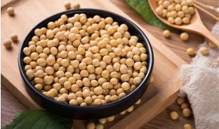 千年舟无醛系列板材价格,千年舟无醛板是什么板材