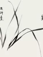 兰花的画法国画,兰花的画法步骤动画