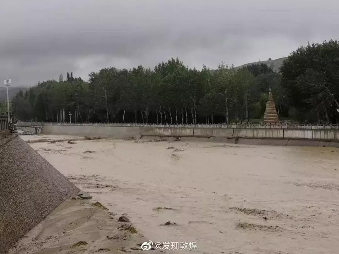 问世间情为何物原文,问世间情为何物下一句