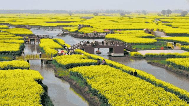 踏青门票免费,景区门票特惠票9.9