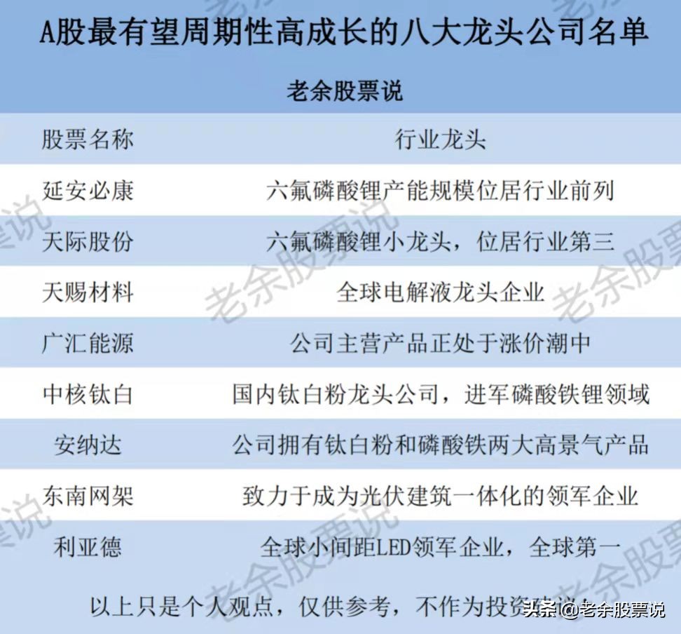 a股最潜力的100家高成长公司,a股最具潜力未来十倍龙头股名单
