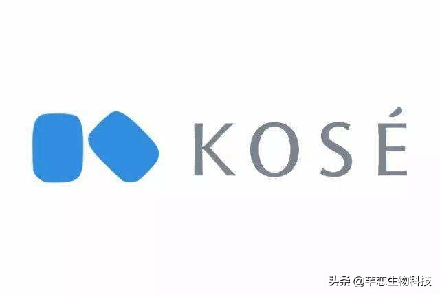 日本女生必买粉底,日本美女必买药妆