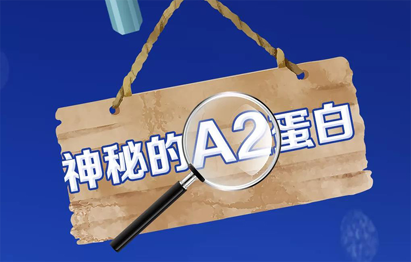 美力源羊奶第三段最低价,贝博儿羊奶粉和美力源羊奶哪个好