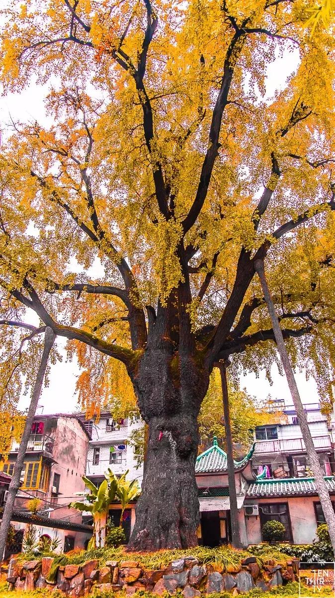 湖北武汉好消息,好消息武汉完整版