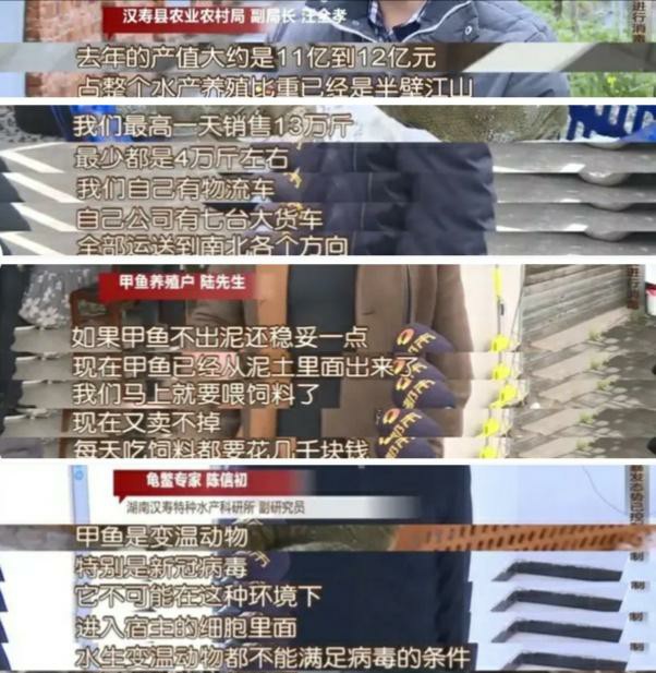 甲鱼全产业链,甲鱼产业现状如何