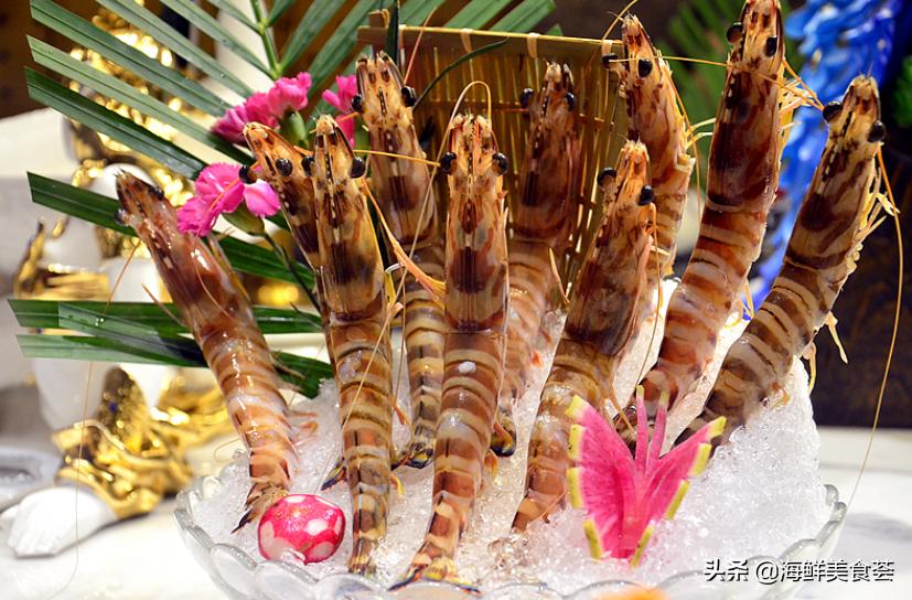 最好吃的海鲜城市排名,沿海城市海鲜又便宜又好吃