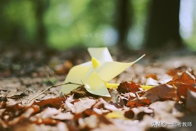 教资面试必背的十大热点,教资面试试讲的各类模板