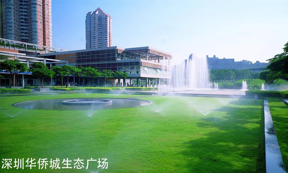 冯越强作品,冯越强