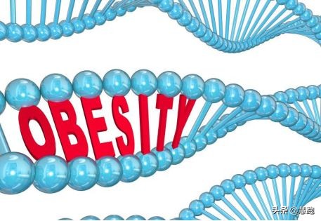 研究表明跑步的好处,最新研究跑步的好处