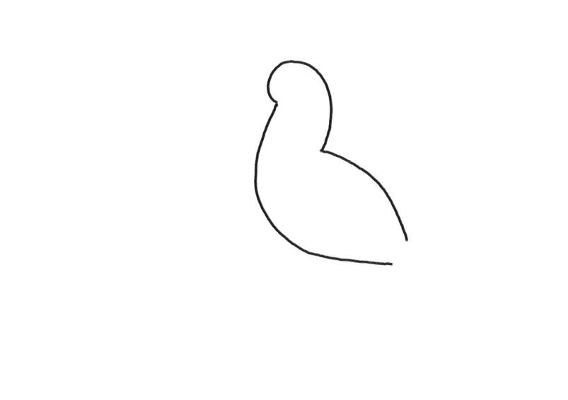 画鸟儿简笔画,简笔画鸟教程幼儿园