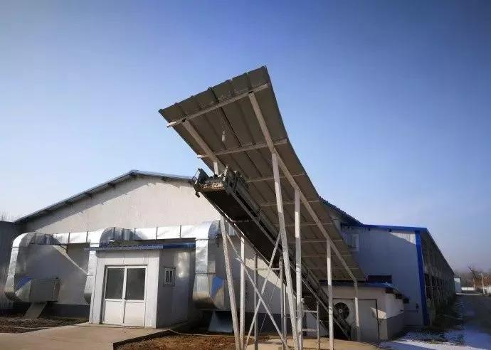 推动畜牧业绿色发展,推动绿色农业乡村振兴