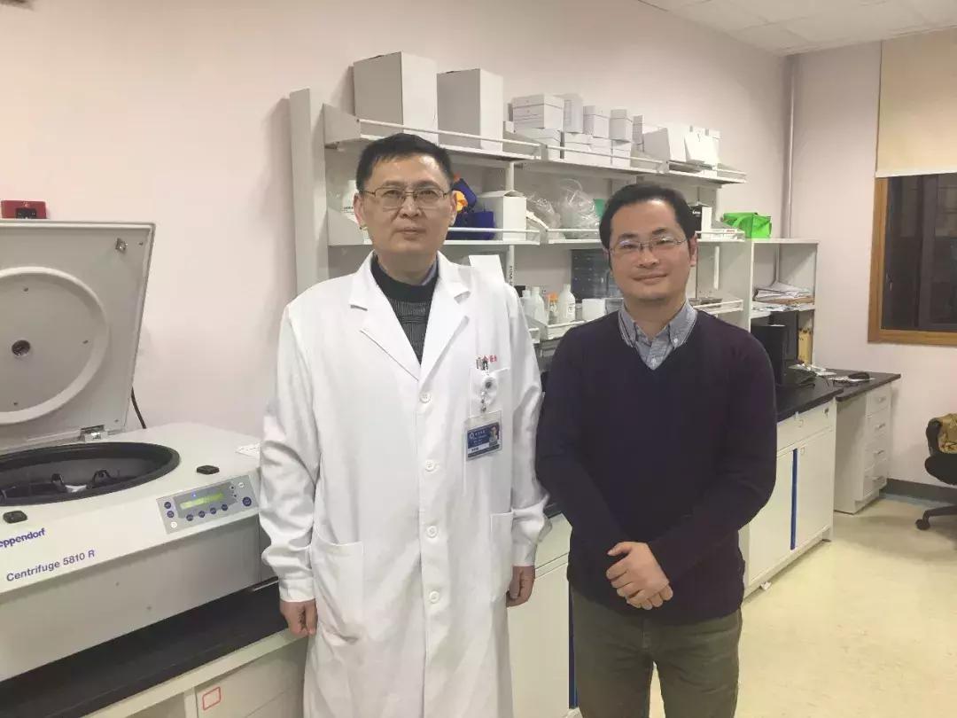 瑞金医院风湿免疫科杨程德,杨程德