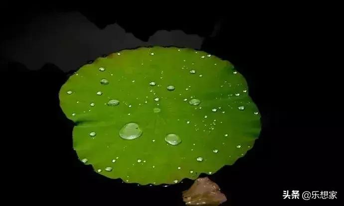 夏日里的绝美诗词,夏日里藏着的绝美诗词