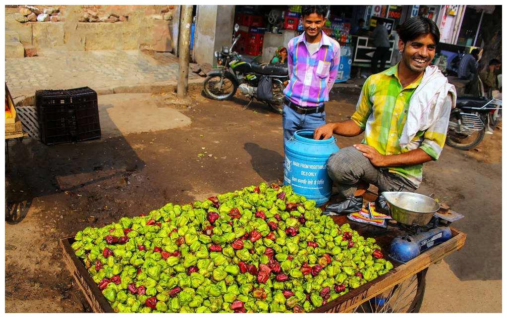 印度人“顺走”中国特产，带回家种植，不料泛滥成灾，还想出口我国