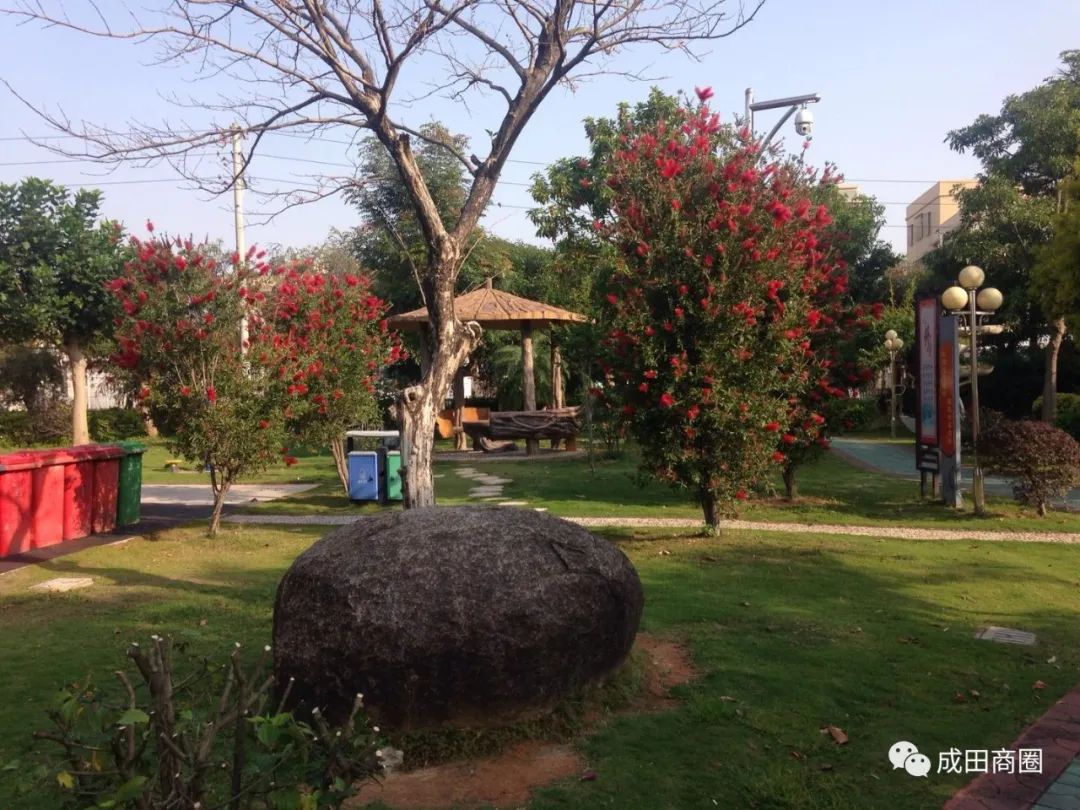 成田文体公园国庆,成田镇文体公园