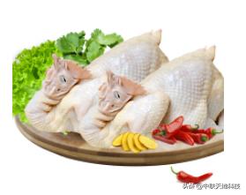 过年了送什么礼好呢,过年了不知道送什么礼