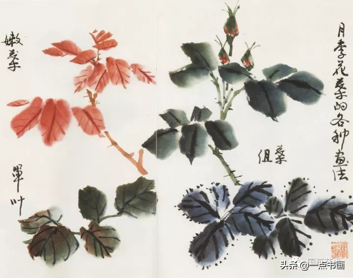 写意花鸟临本——月季画法